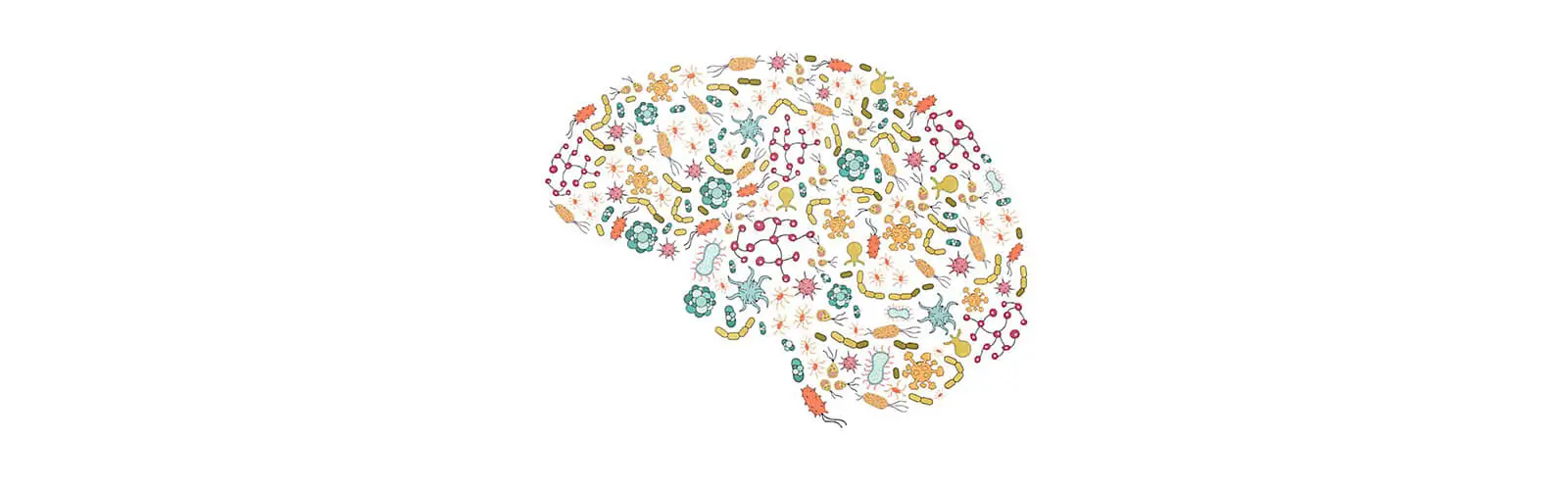 The Mind-Gut Connection
